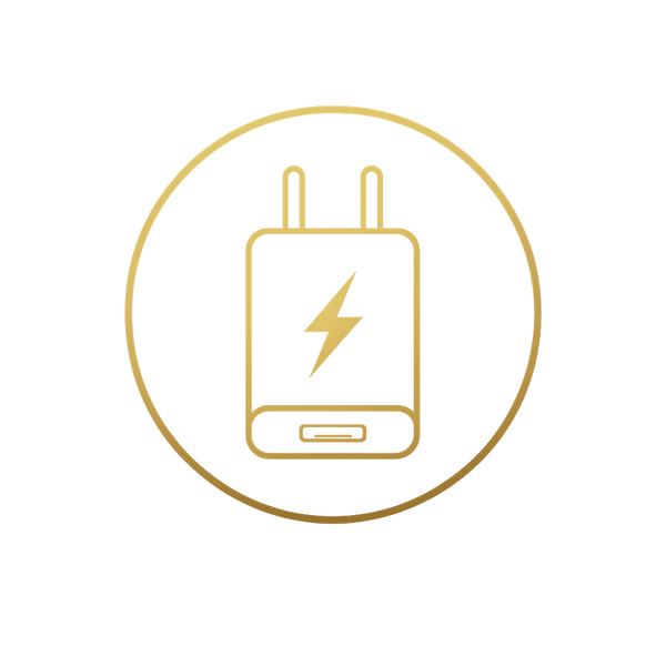 Charger Cases